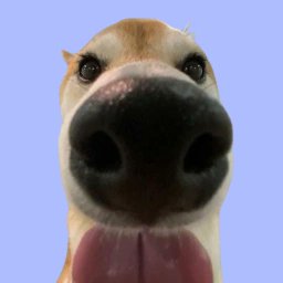 BOOPER logo