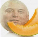 Melon Musk logo