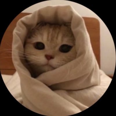 Cat With Confusing Auras logo
