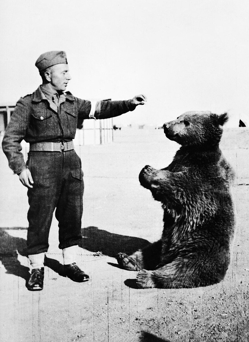 WOJTEK logo
