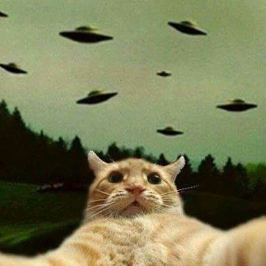 UFOCAT logo