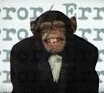 CHIMPNOLOGY logo