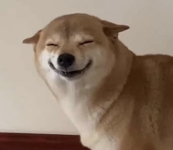 SMILEDOG logo