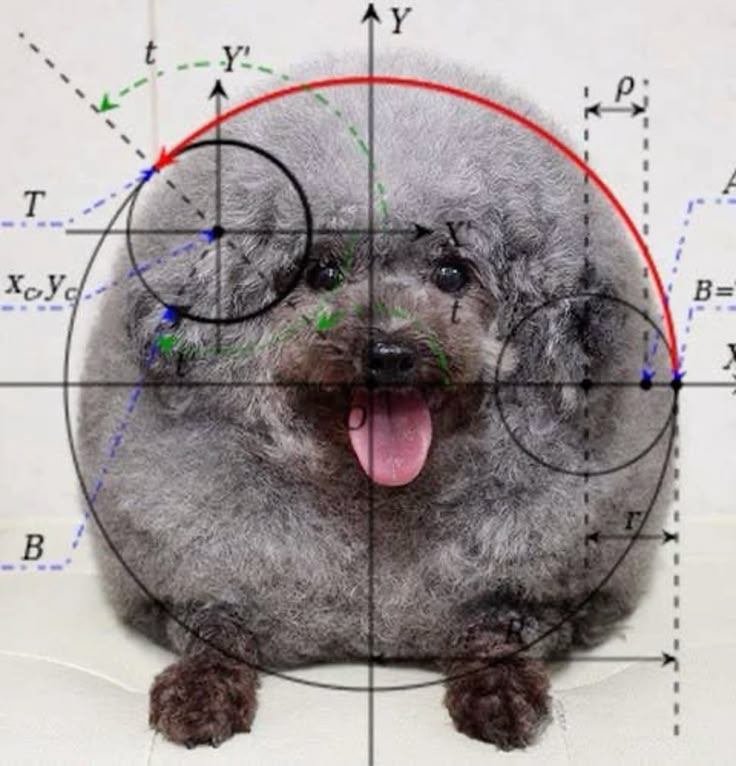 Quantum Pup logo