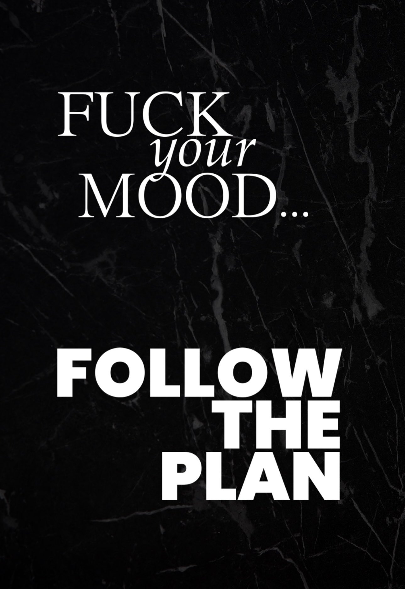 Fuck your Mood Follow the Plan logo