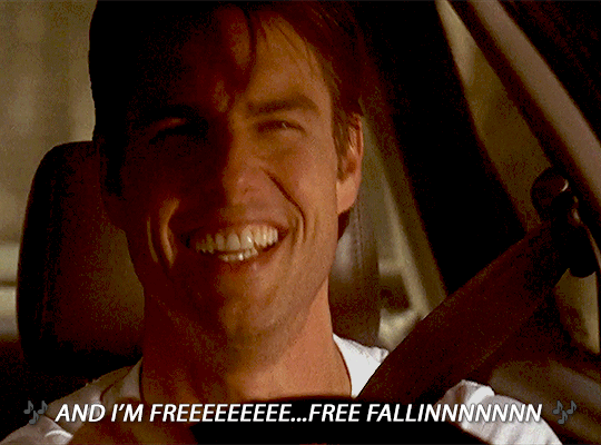 FREE FALLIN logo