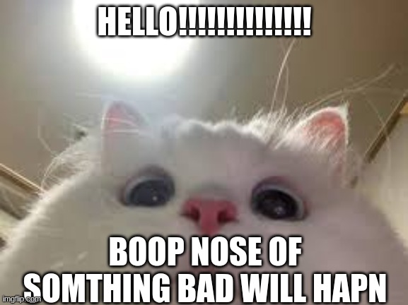 NOSBOOP logo