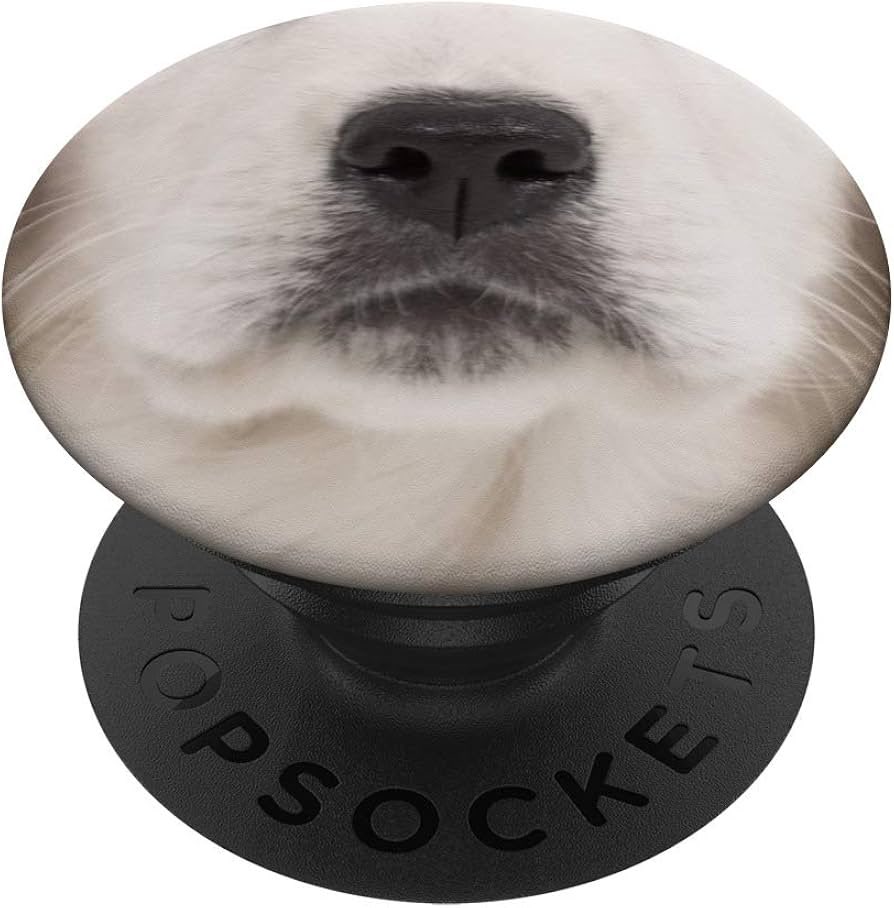 DOGGO NOSE BOOP logo