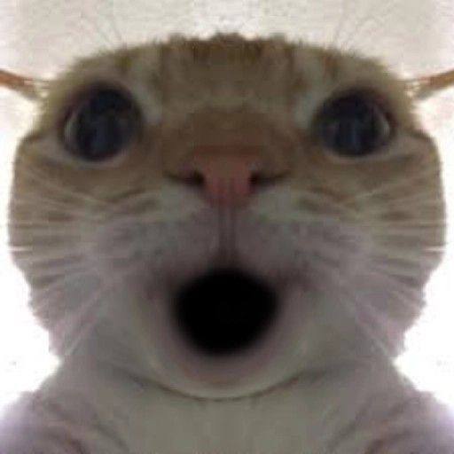 SHOCKED logo