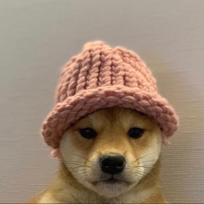 DOG WIF Coin logo
