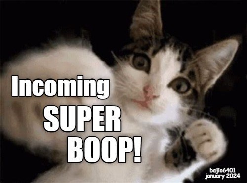 SUPER BOOP logo