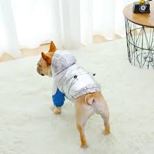 WORLDS SHORTEST DOG logo