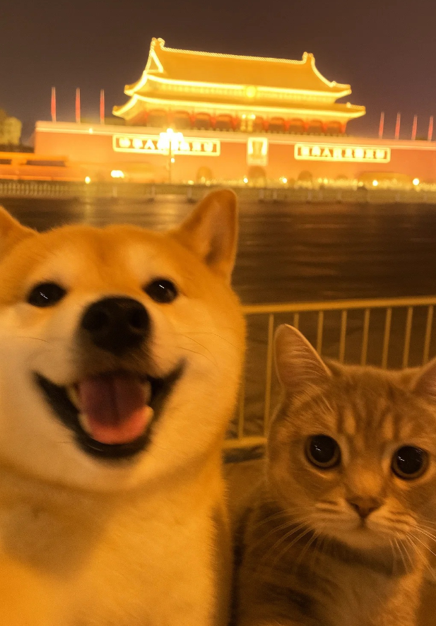 luckcat logo