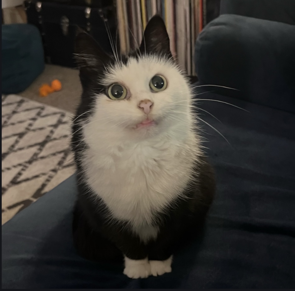 Mau Mau logo