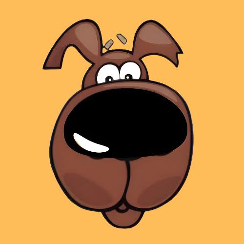 BOOPIT logo
