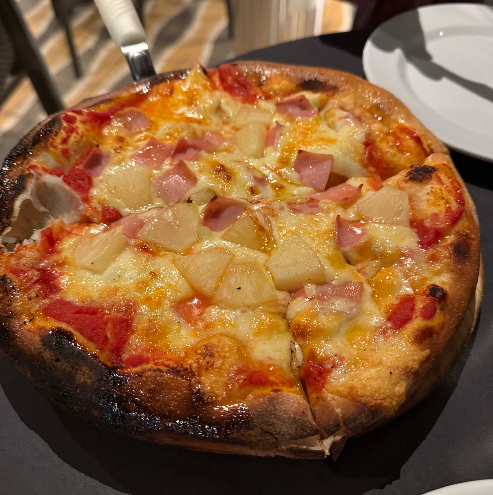 PINEAPPLES BELONG ON PIZZA logo