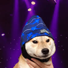 PARTI DOG logo