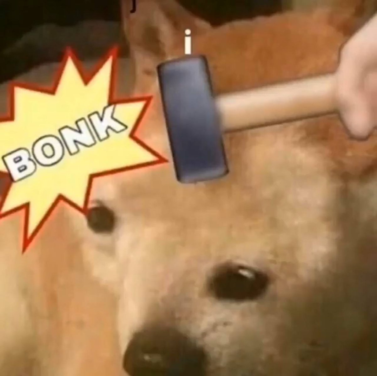ORIGINAL BONK logo