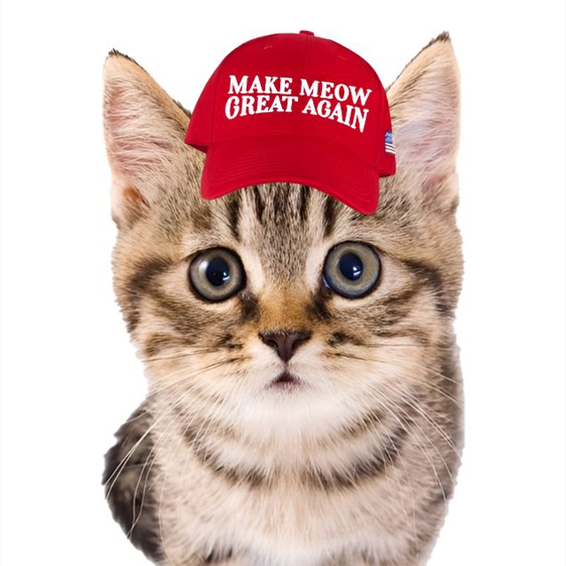 Make meow great again logo
