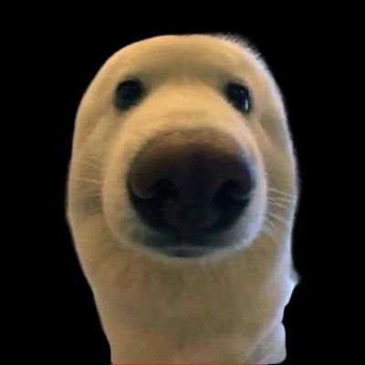 BOOP logo